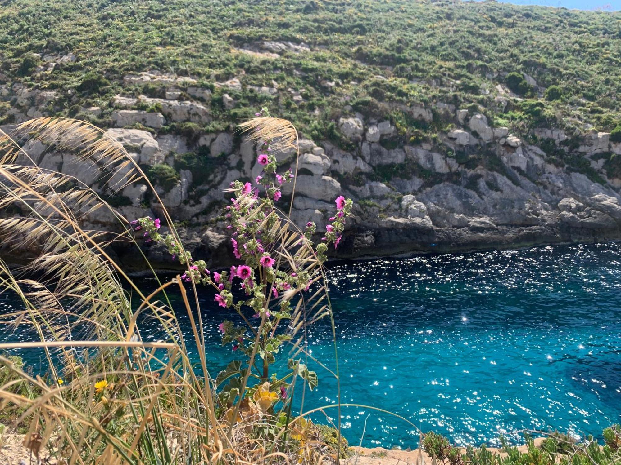 Private Bedroom With Balcony In A Shared Apartment At The Bay Of Xlendi Exterior foto